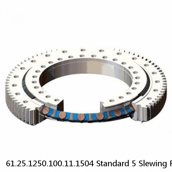 61.25.1250.100.11.1504 Standard 5 Slewing Ring Bearings