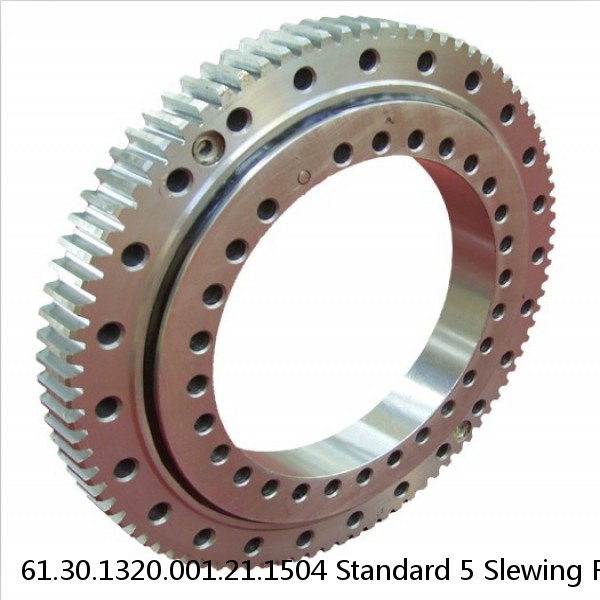 61.30.1320.001.21.1504 Standard 5 Slewing Ring Bearings