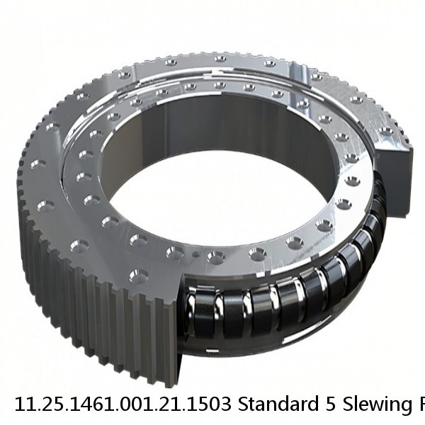 11.25.1461.001.21.1503 Standard 5 Slewing Ring Bearings