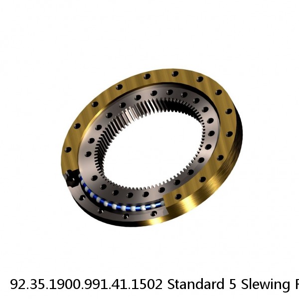 92.35.1900.991.41.1502 Standard 5 Slewing Ring Bearings