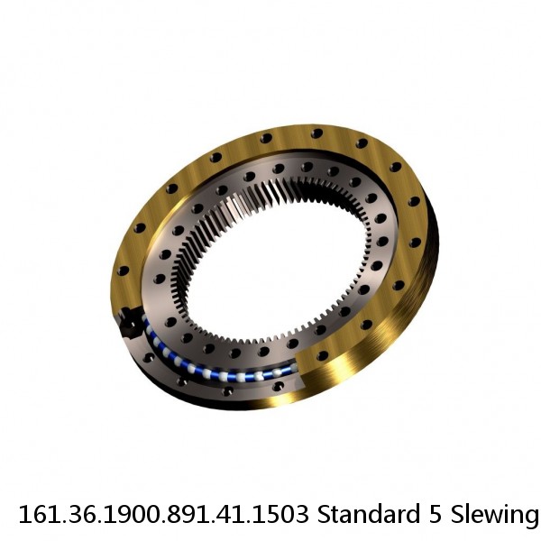 161.36.1900.891.41.1503 Standard 5 Slewing Ring Bearings