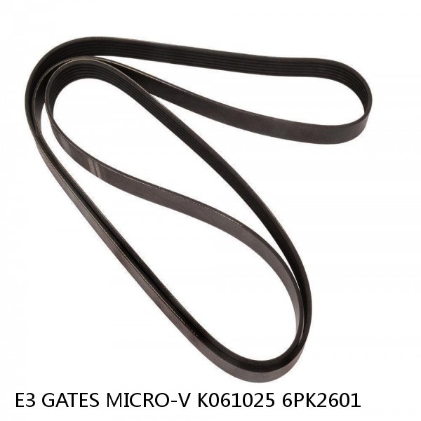 E3 GATES MICRO-V K061025 6PK2601 