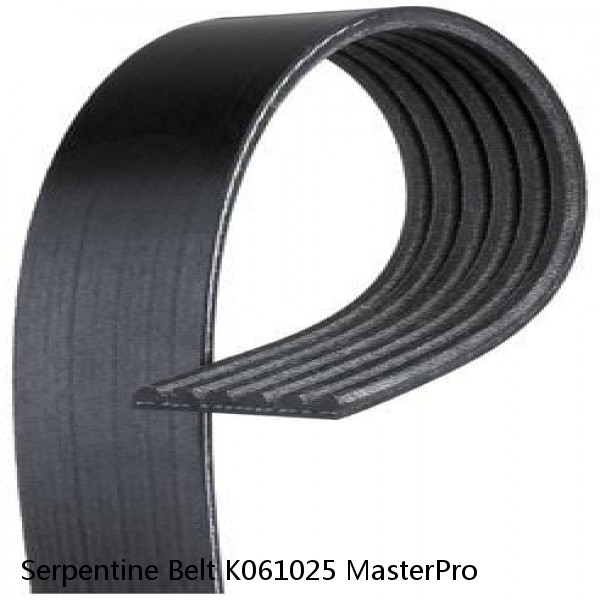 Serpentine Belt K061025 MasterPro 